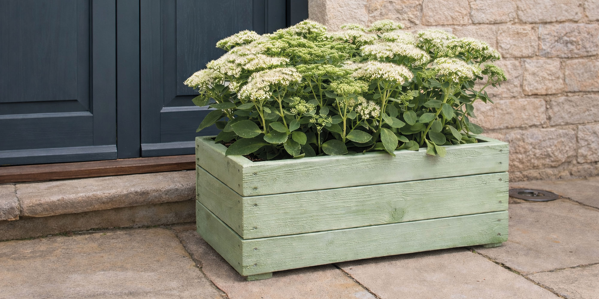 Mintfarbener Holzkasten als Pflanzgefäß mit grüner Pflanze vor heller Haustür