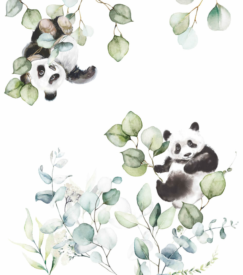 Wandbild 2,65 x 3,00 m Tiere Pandas Eucalyptus Grün 364989