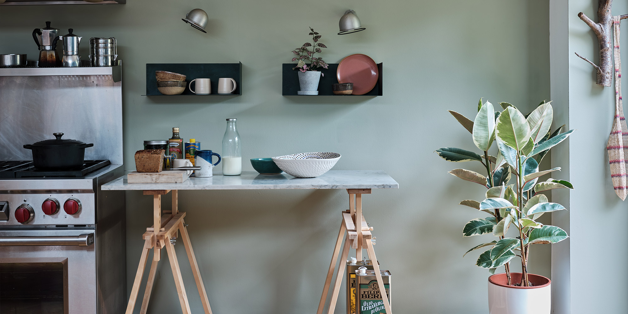 Küche mit zartgrün gestrichener Wand, Kochfeld, Tisch und großer Zimmerpflanze