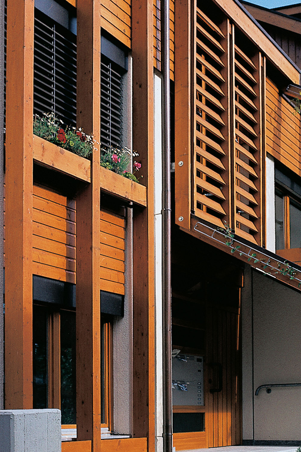 Moderne Fassade mit aufgehelltem Holz, Fensterläden und bepflanztem Blumenkasten