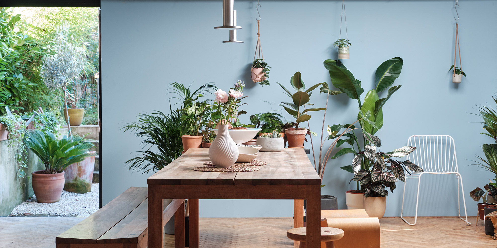 Essbereich mit hellblauer Wand, Holztisch und vielen Pflanzen, Farrow & Ball Farbwelt