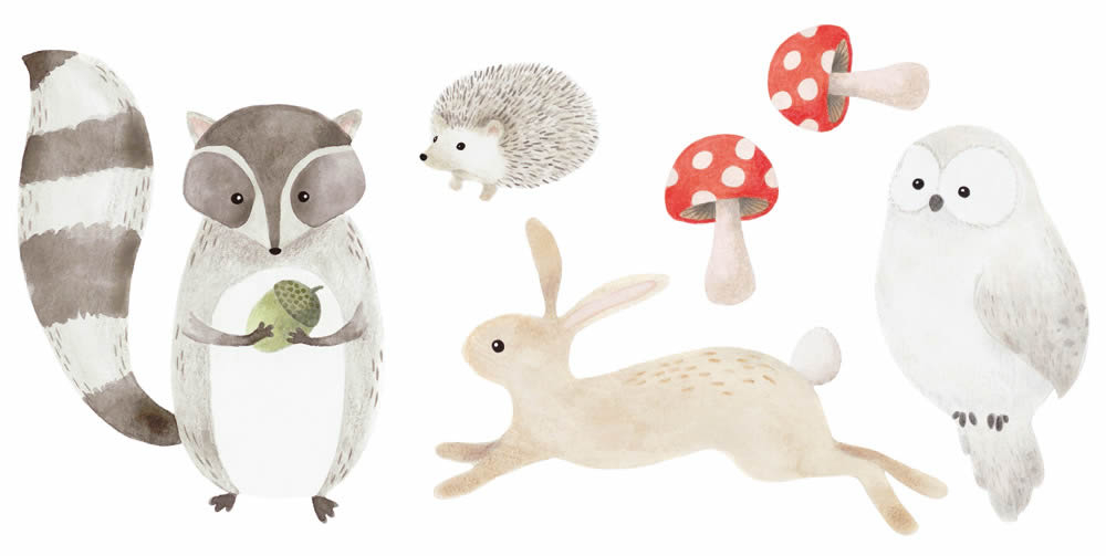 Wandbild vorgekleistert Waschbär Hase Eule Tiere OUAT88579023