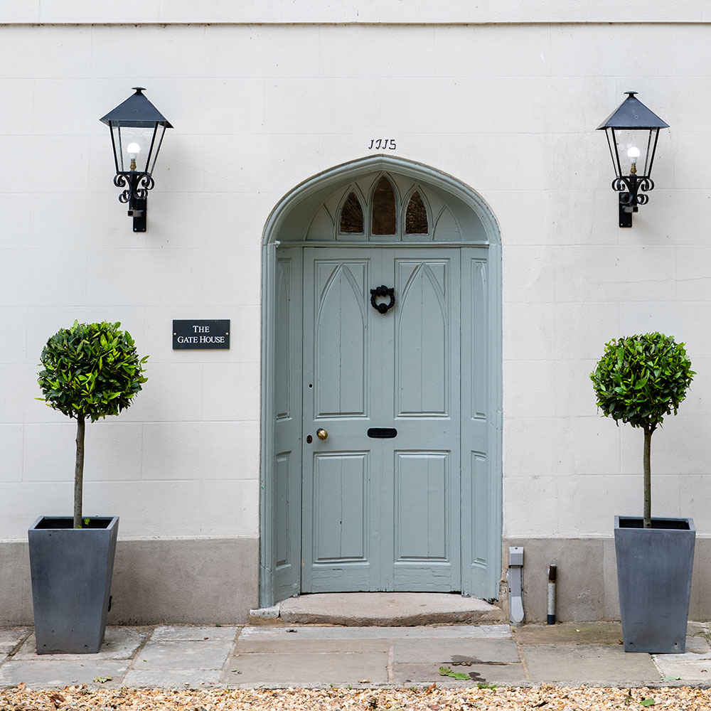 Helle Eingangstür eines Hauses mit zwei dekorativen Pflanzen in grauen Töpfen und klassischer Außenbeleuchtung