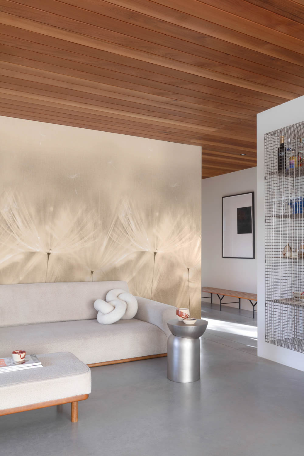 Wandbild 1,59 x 2,80 m zarte Pusteblumen Pflanzen taupe grau 203801