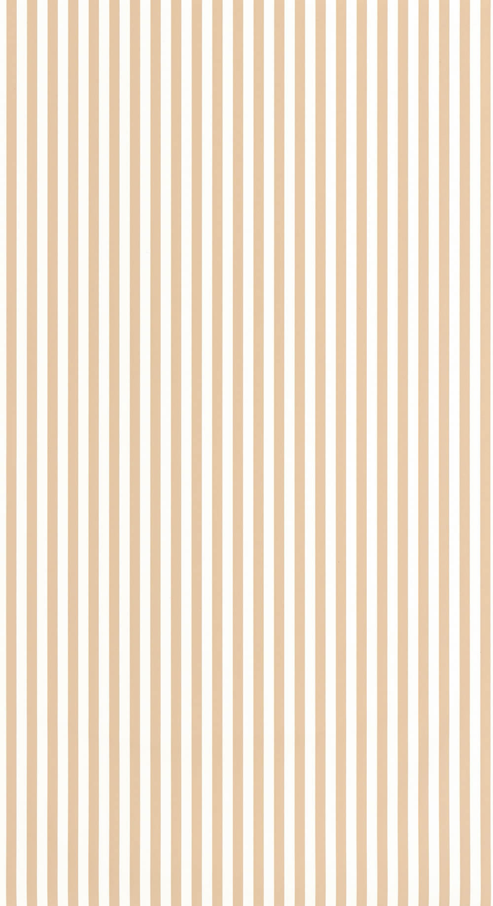 Vliestapete Streifenmuster gestreift beige weiß OUAT29882343