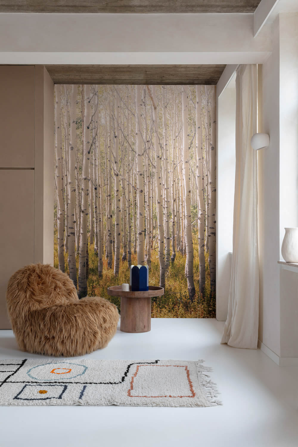 Wandbild 1,59 x 2,80 m Birkenwald Herbstwald Bäume am Tag A42601