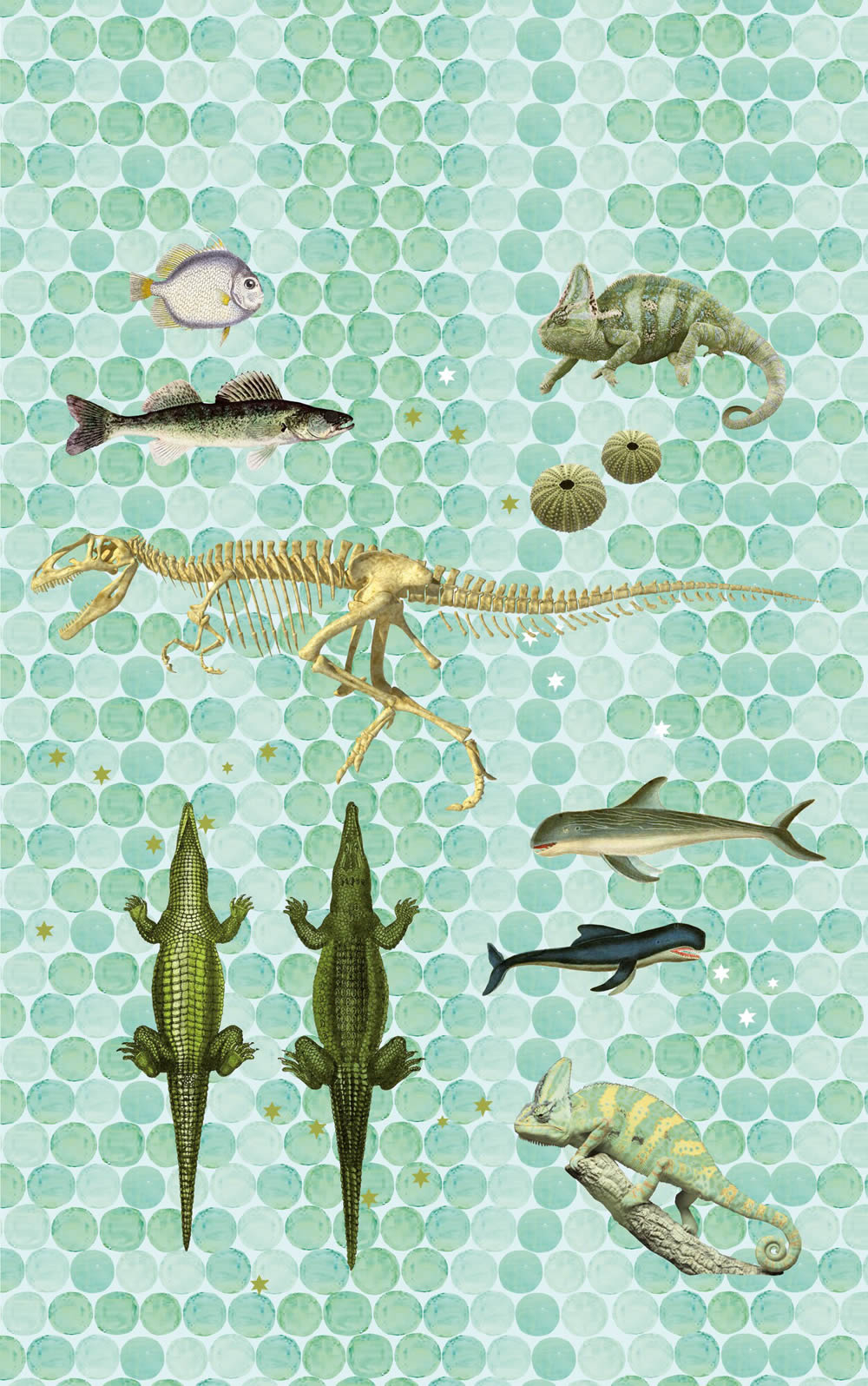 Wandbild Fossilien Reptilien Krokodile Tiere Fische Chamäleon blaugrün 532081