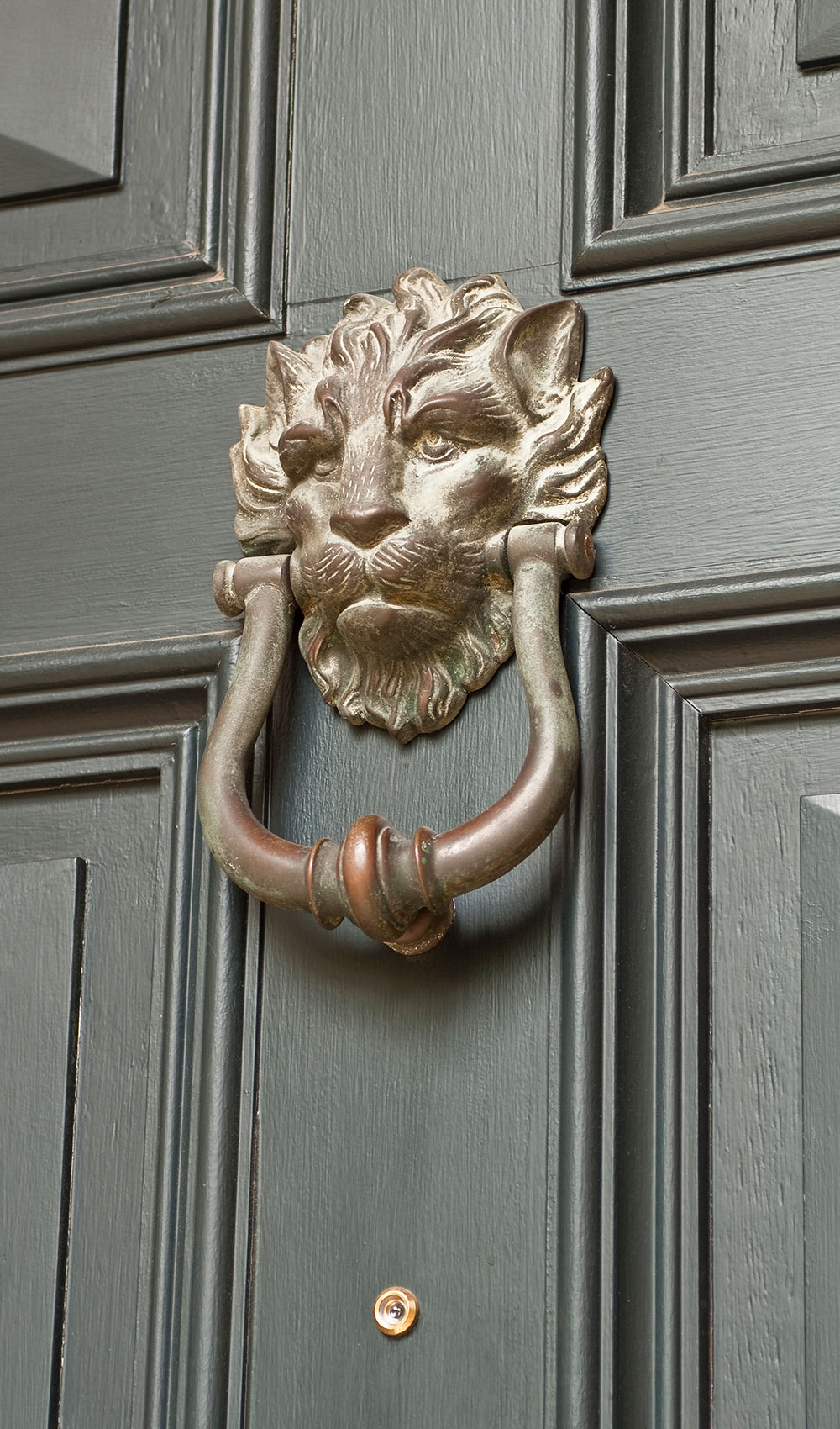 Nahaufnahme von Löwen Türklopfer an dunkelgrauer Holzhaustür mit Kassetten - Detail nach dem Streichen