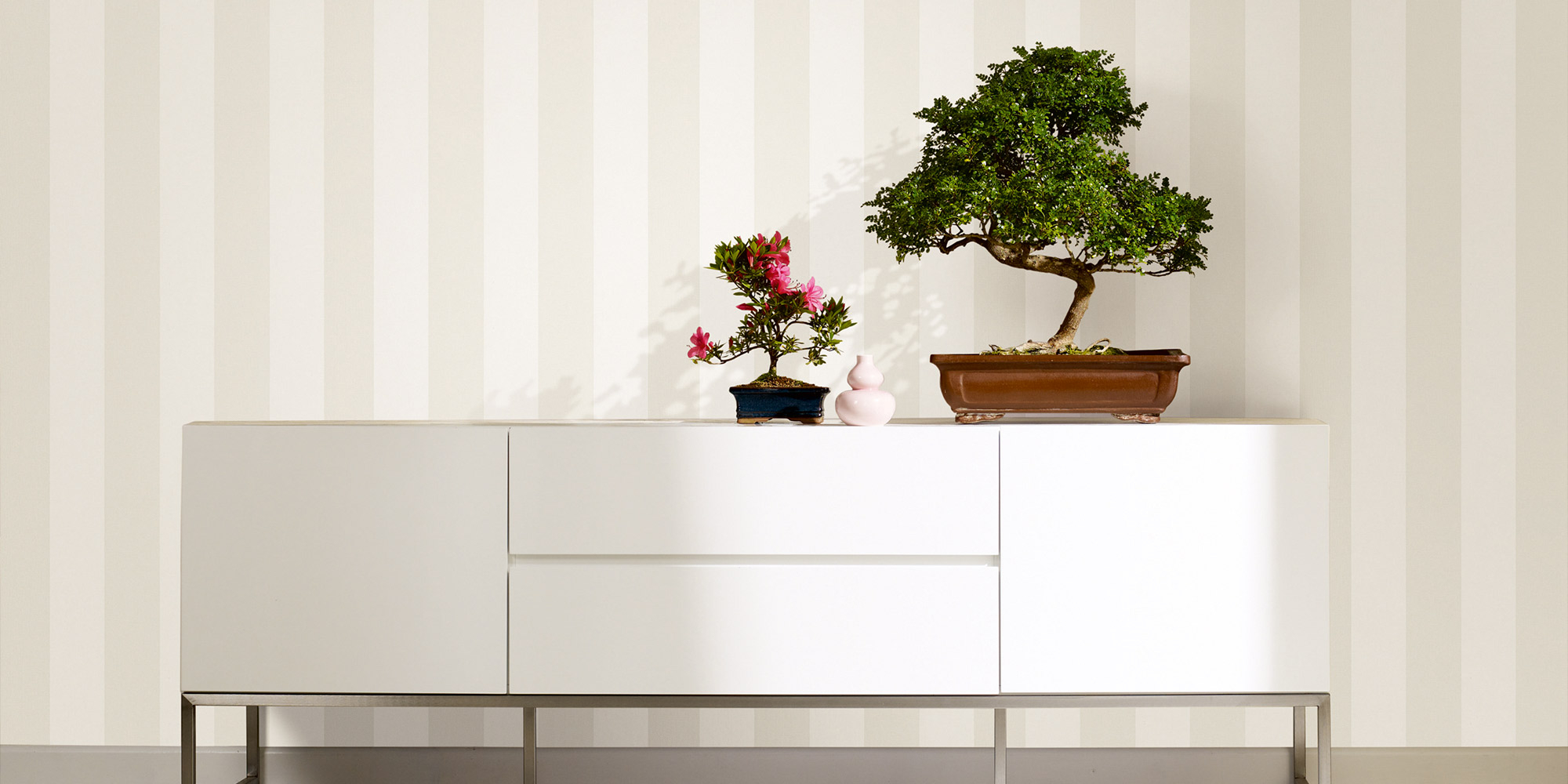Sideboard mit Bonsai vor gestreifter Tapete als Beispiel für Wandbeläge