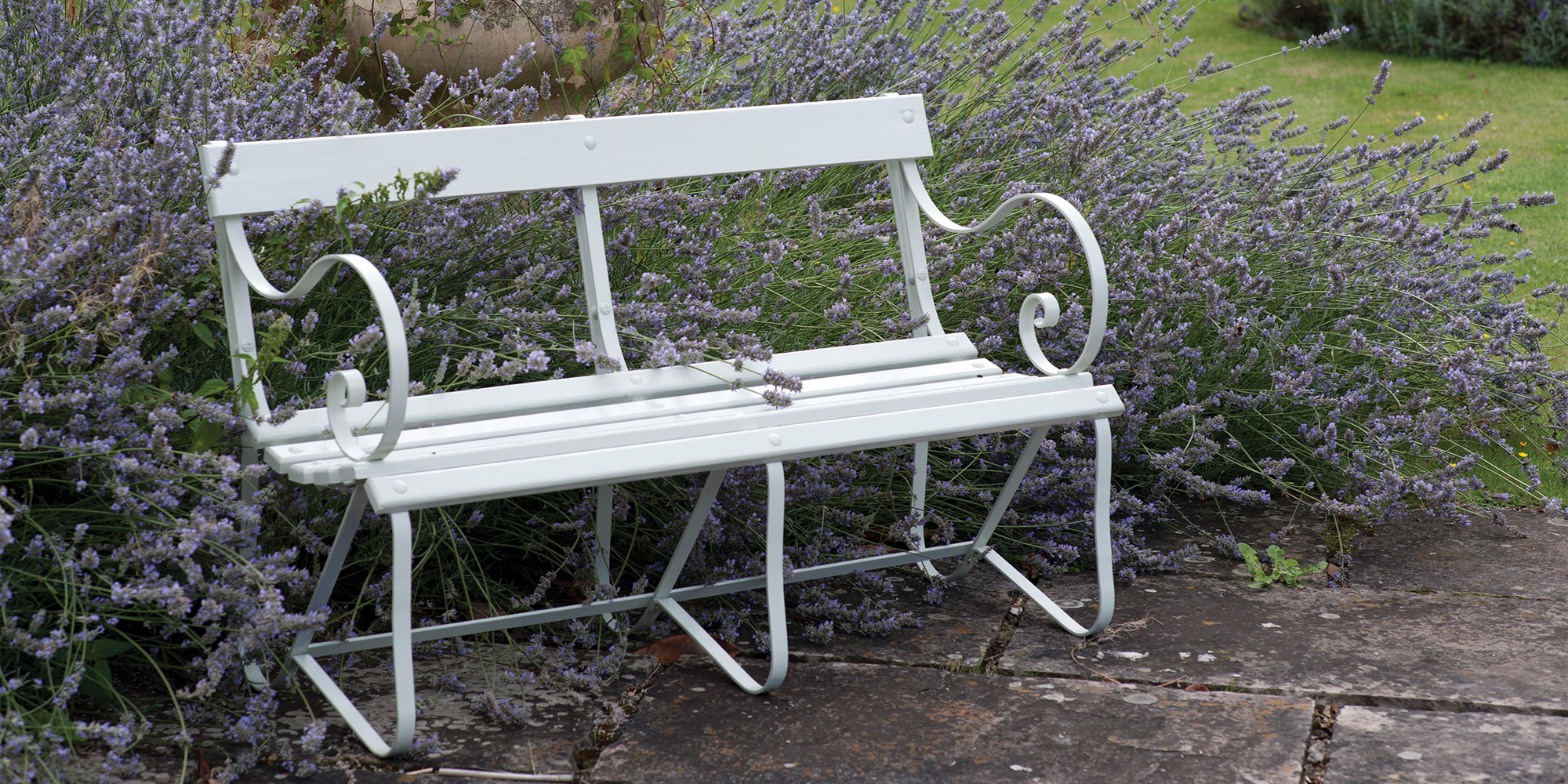 Weiß lackierte Gartenbank vor Lavendel auf Steinweg im Garten