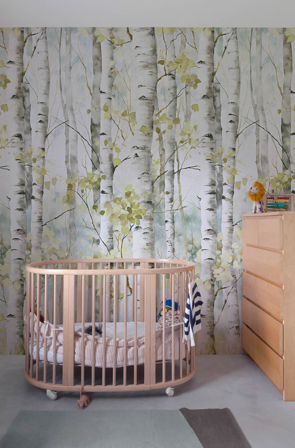 Wandbild 1,59 x 2,80 m Birkenwald Bäume Lichtung Waldtapete A77301