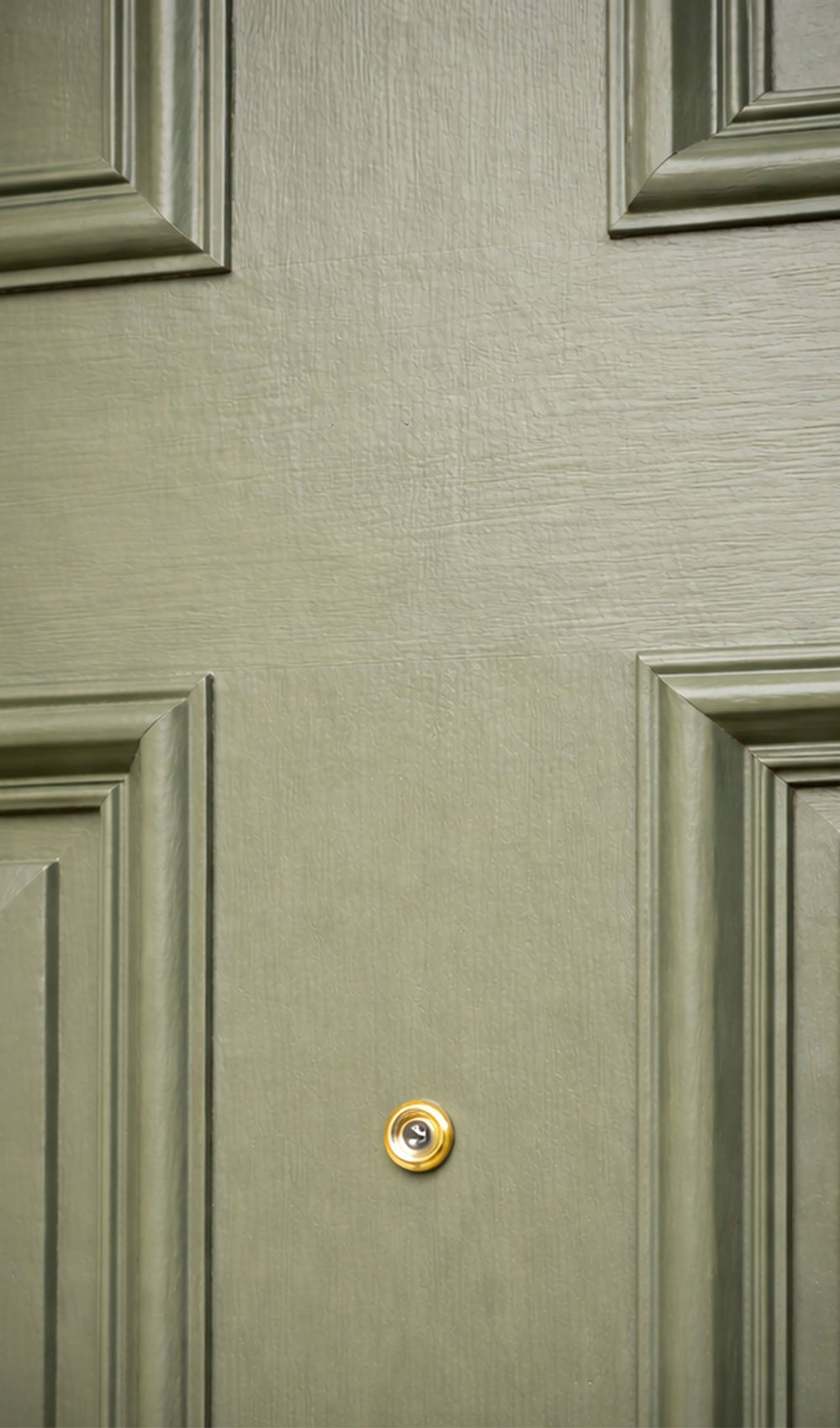 Nahaufnahme von grüner Holzhaustür mit Kassetten - Detailansicht nach dem Streichen