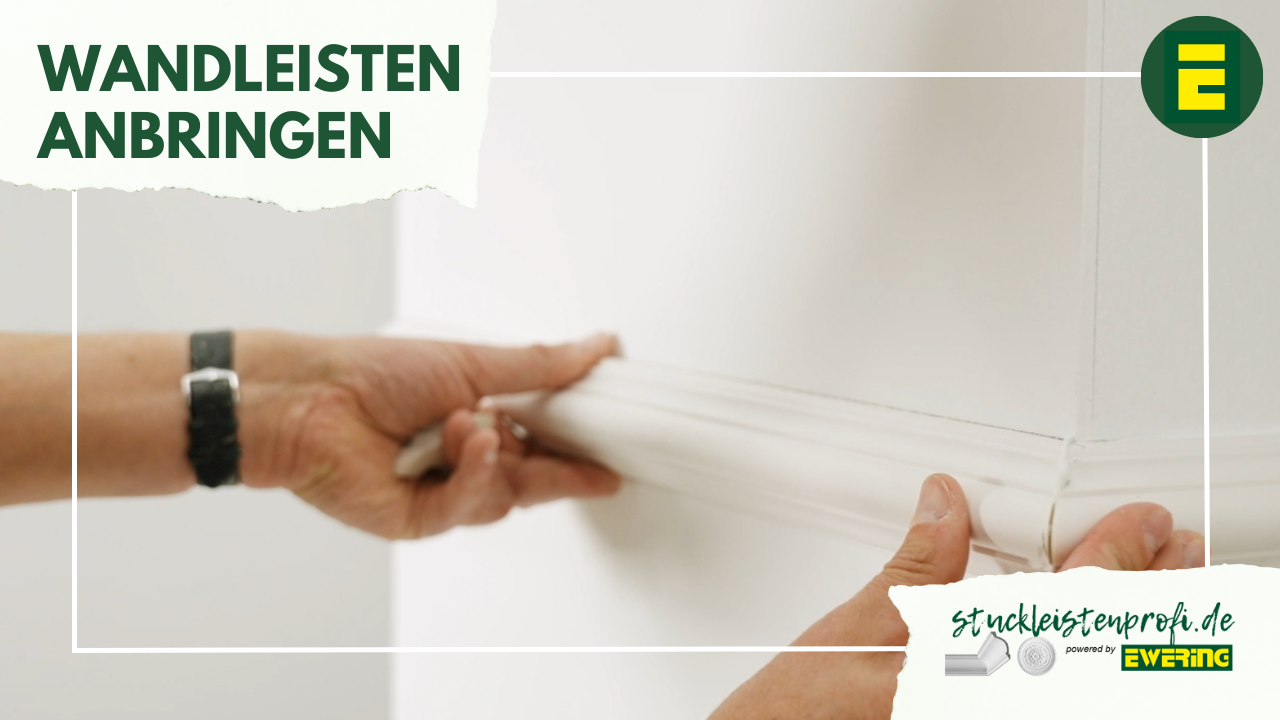 Video Anleitungen und Tipps&Tricks - stuckleistenprofi.de